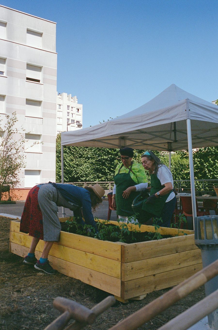 les participant·es plantent dans un bac au pied des immeubles