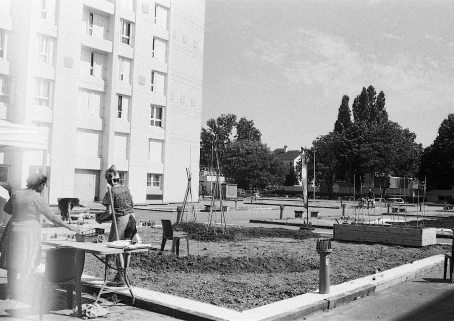les parcelles potagères et la table de l’atelier, noir et blanc
