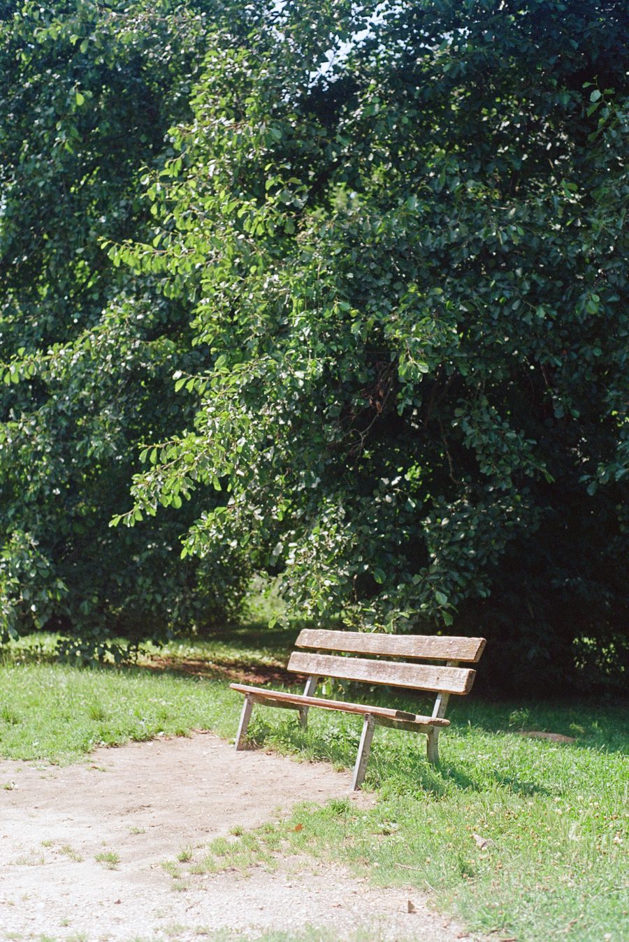 banc